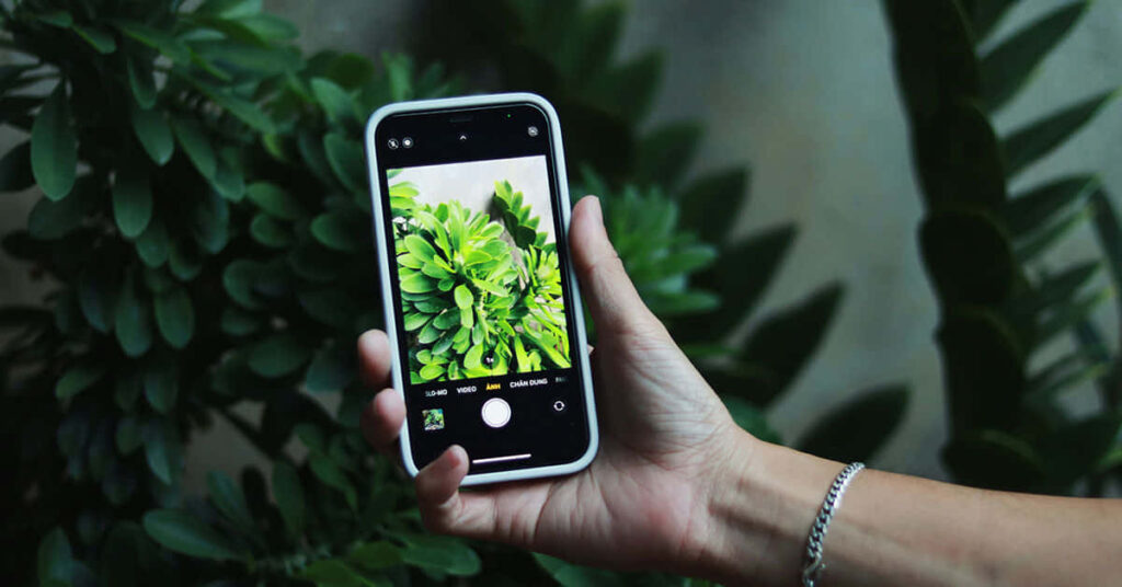 Plant Care Mobile App Development with Java - Appilian